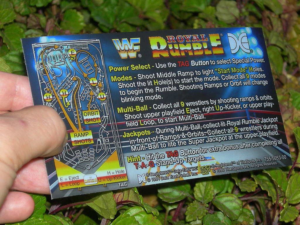 WF Royal Rumble Pinball Card Customized Rules print3c