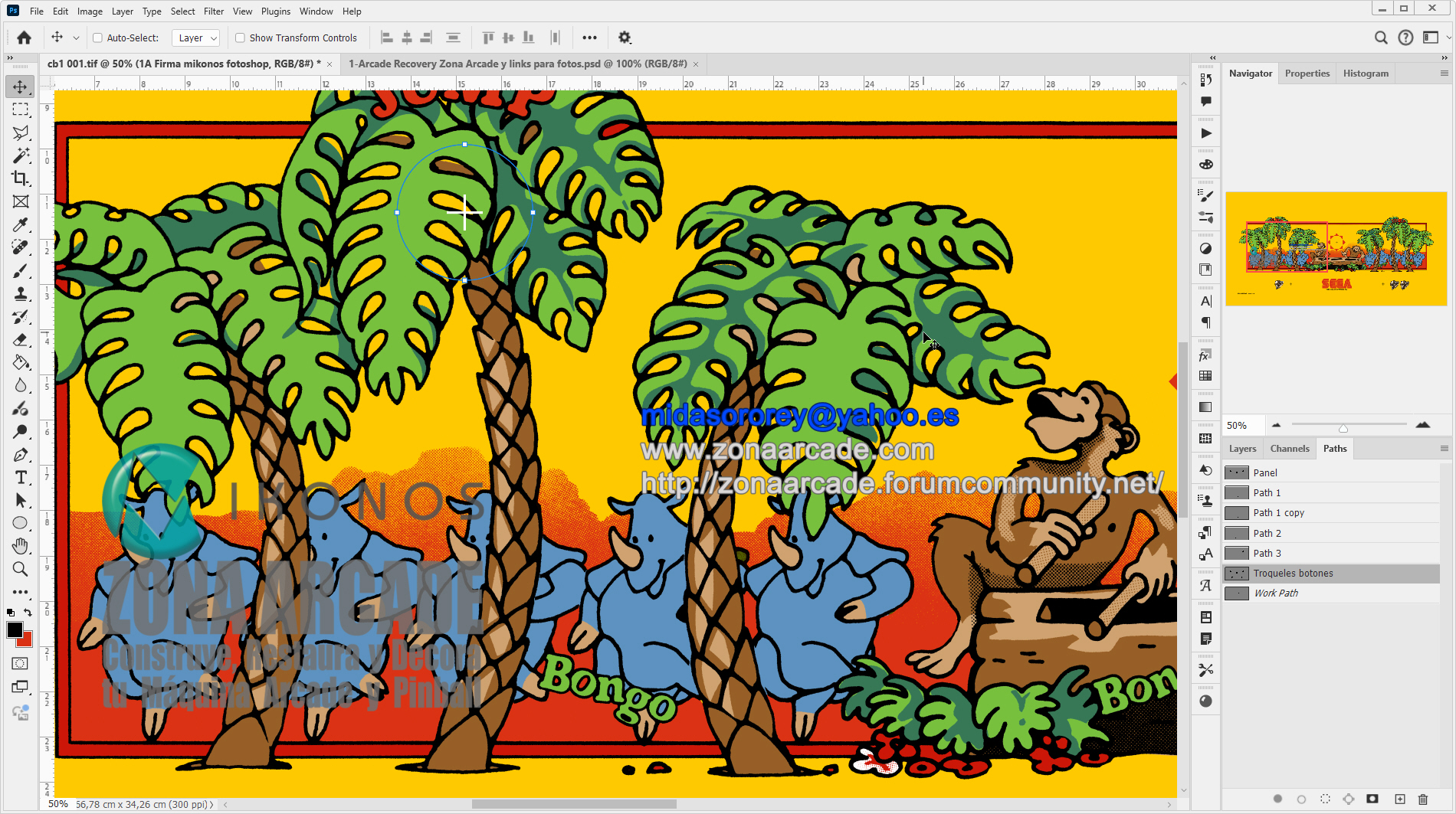 Congo-Bongo-Control-Panel-Overlay-Restored-Mikonos2