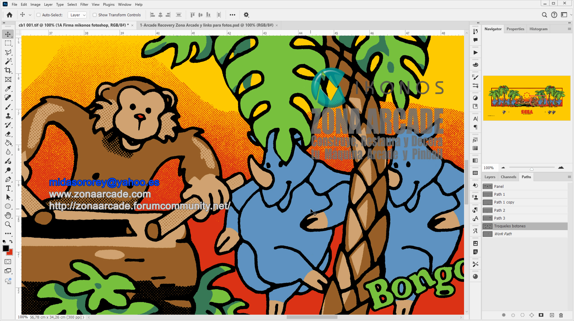 Congo-Bongo-Control-Panel-Overlay-Restored-Mikonos3