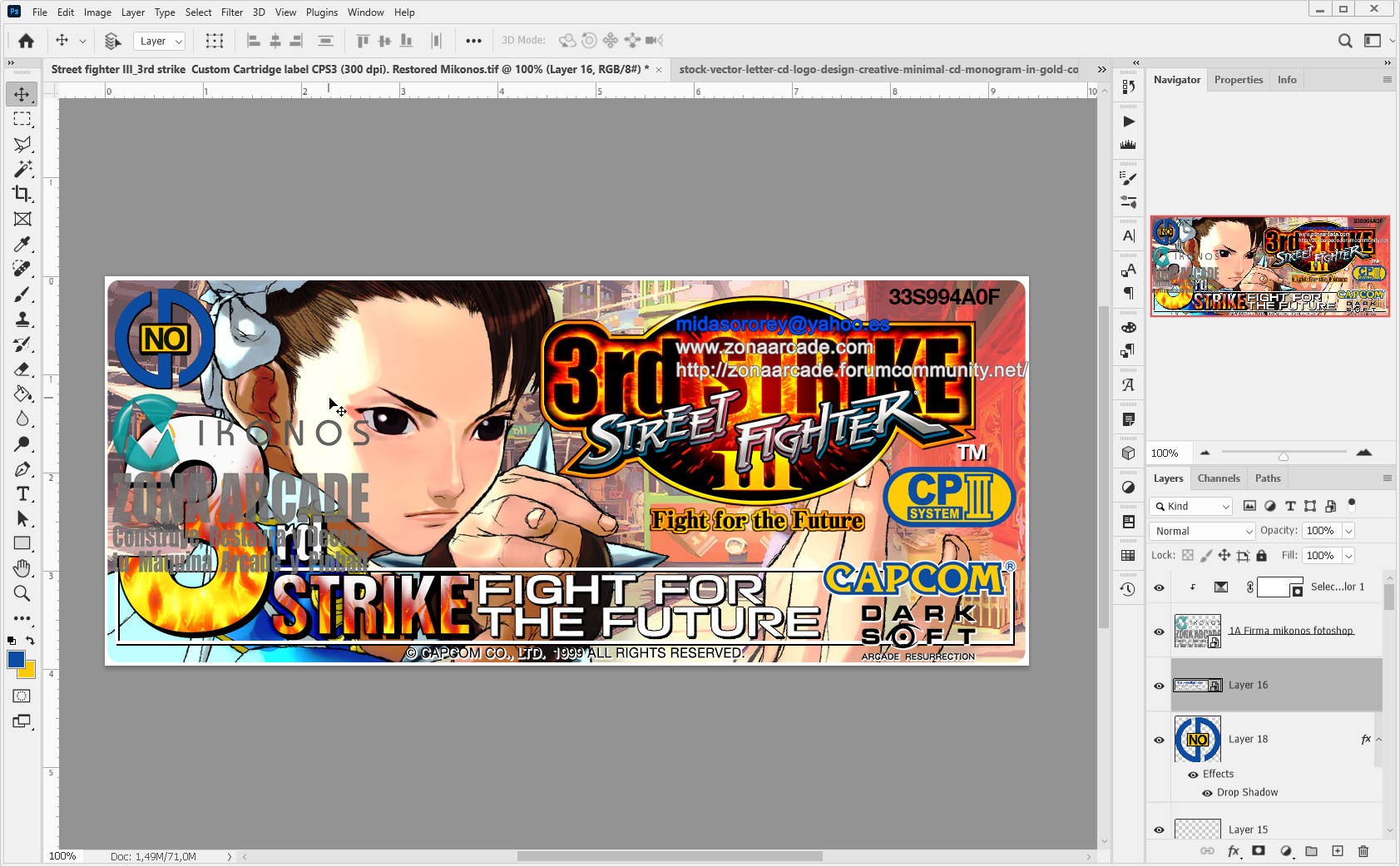 Street-Fighter-III-Third-Strike-Custom-Cardtridge-Label-Sticker-Designed-Mikonos1