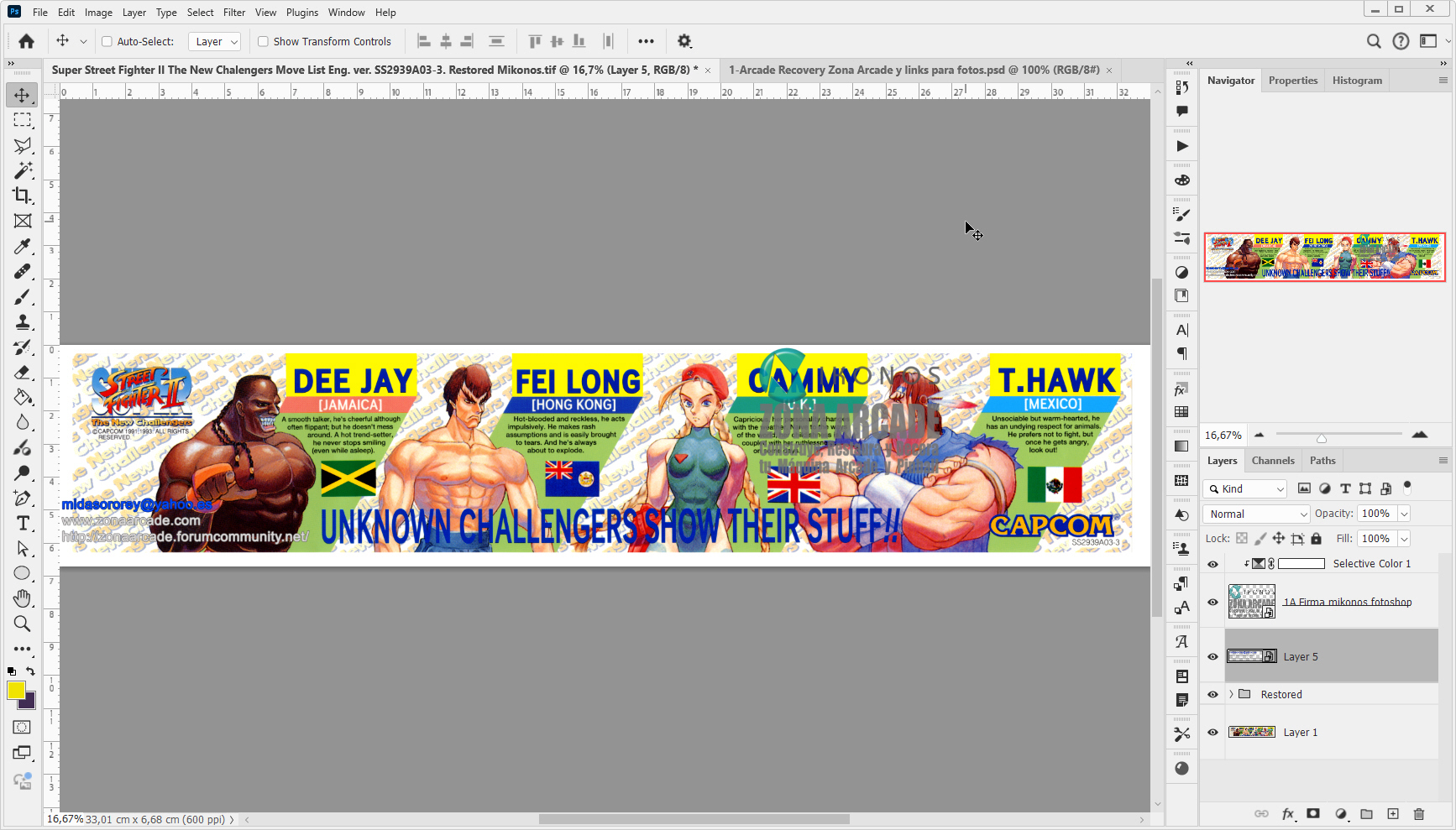 Super-Street-Fighter-II-The-New-Challengers-Characters-Sticker-Eng-ver-SS2939A03-3-Restored-Mikonos1